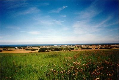 natur_01.jpg