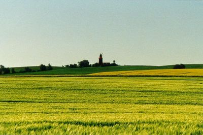 natur_leuchtturm01.jpg