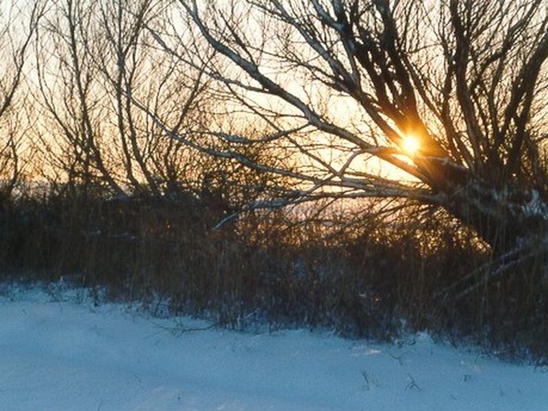 /images/kborn/natur/natur_winter1.jpg