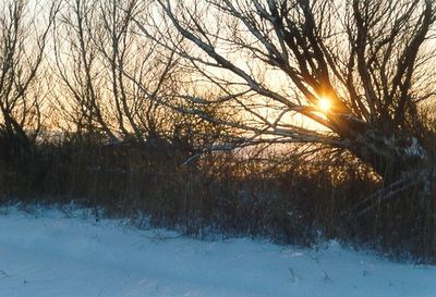 natur_winter1.jpg