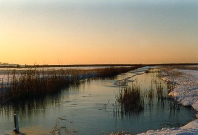 natur_winter2.jpg
