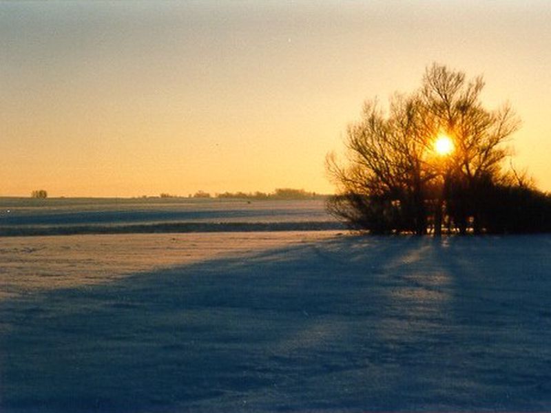 /images/kborn/natur/natur_winter3.jpg