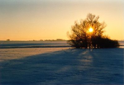 natur_winter3.jpg