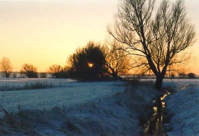 natur_winter4.jpg