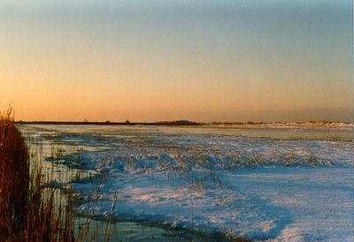 natur_winter6.jpg