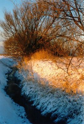 natur_winter7.jpg