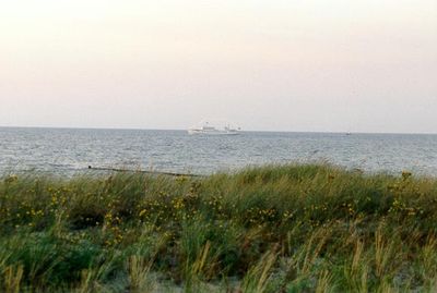 strand_duenen03.jpg