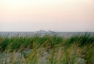 strand_duenen04.jpg