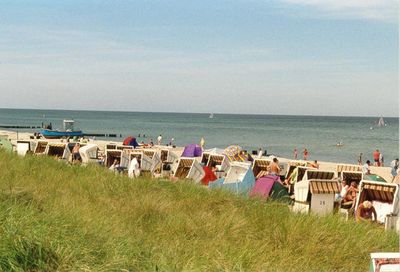 strand_duenen06.jpg