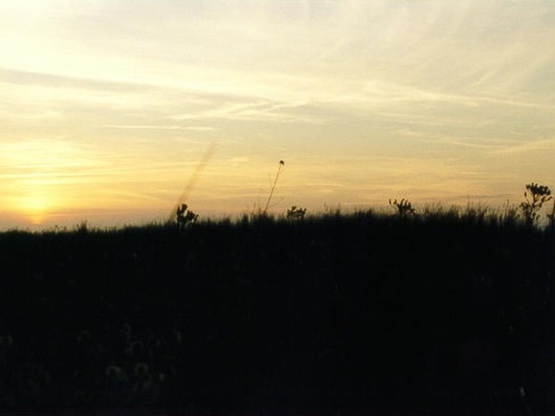 /images/kborn/strand/strand_duenen08.jpg