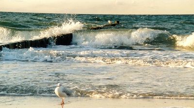 strand_moeven02.jpg