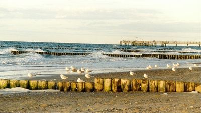 strand_moeven04.jpg