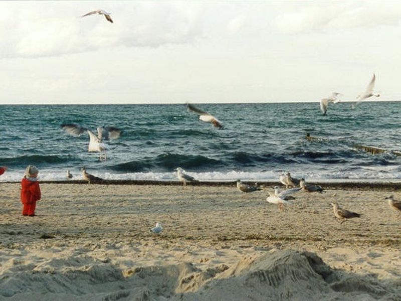 /images/kborn/strand/strand_moeven06.jpg