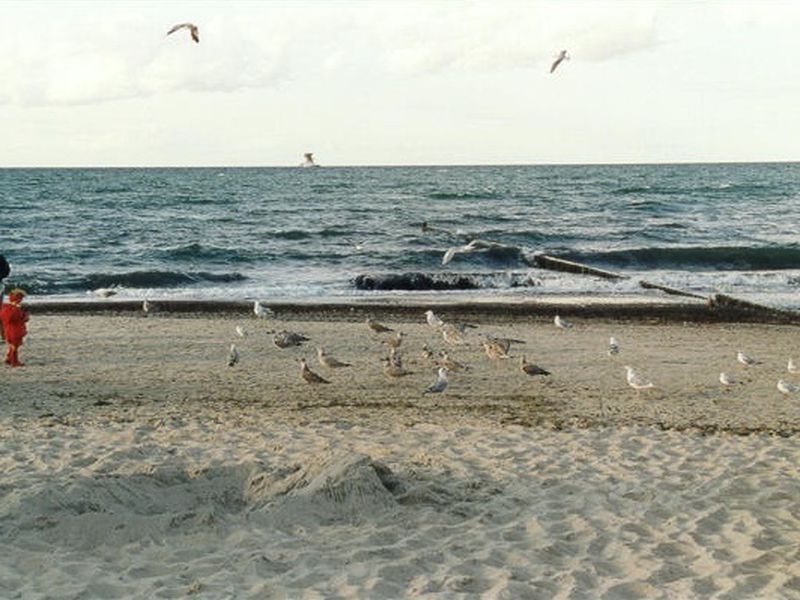 /images/kborn/strand/strand_moeven07.jpg